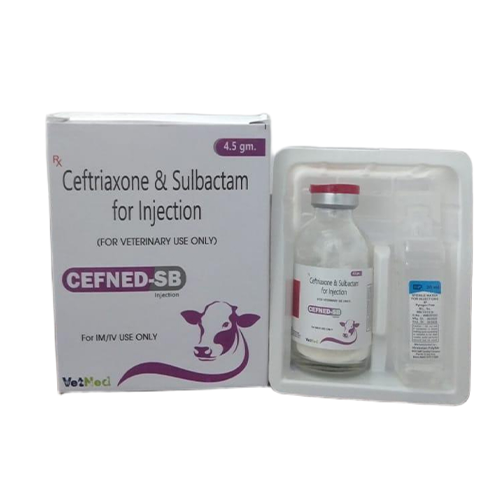 Ceftned-sb – 4.5 GM | Main | Vetned