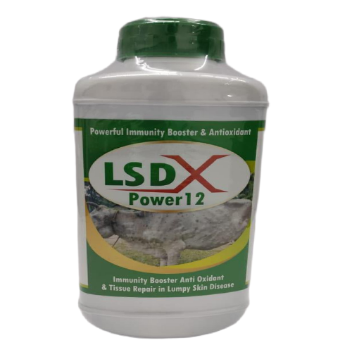 Lsdx Power 12 | Main | Vetned