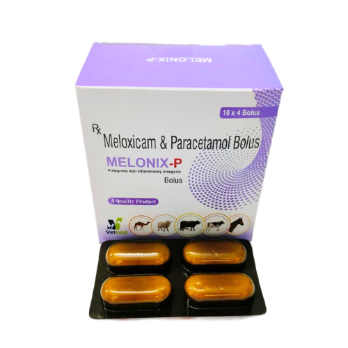 Melonix-P Bolus | Main | Vetned